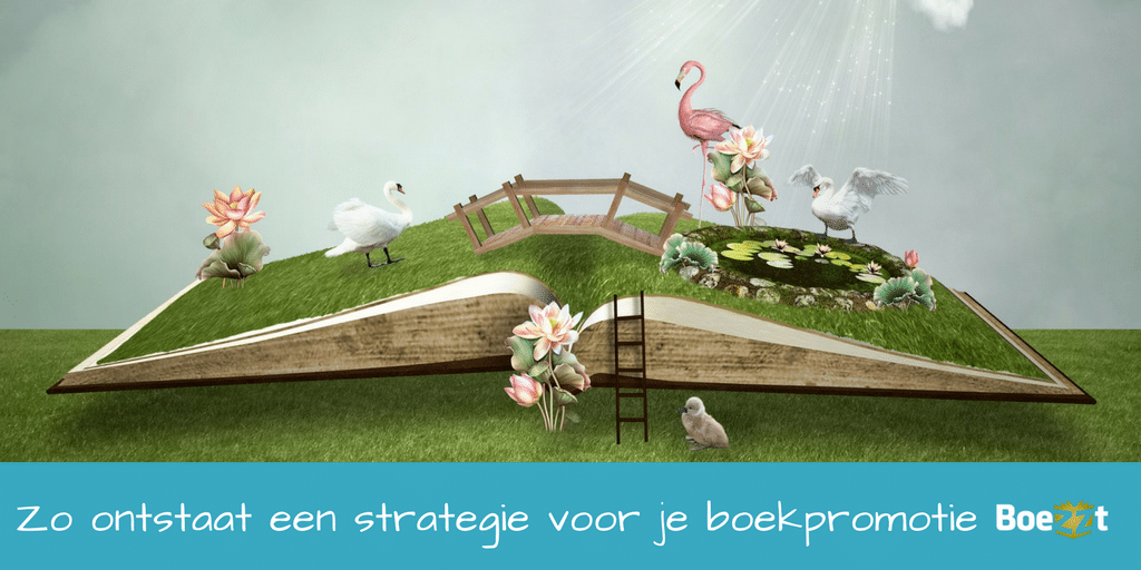 boekpromotiestrategie ingrediënten